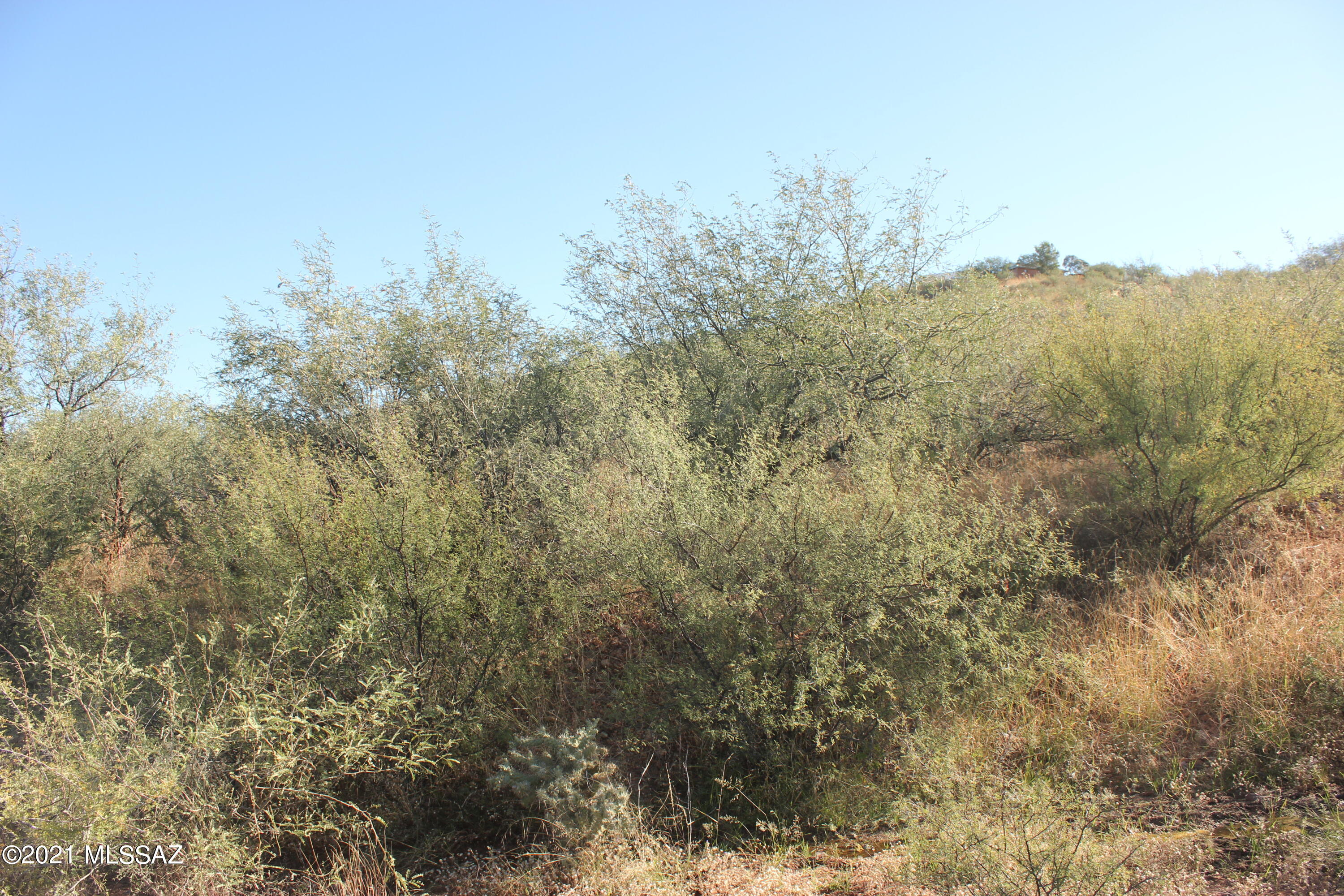 1781 Earp Court, Unit 53 Rio Rico, AZ 85648 - Photo 3 of 3 a view of mountain view with lots of trees