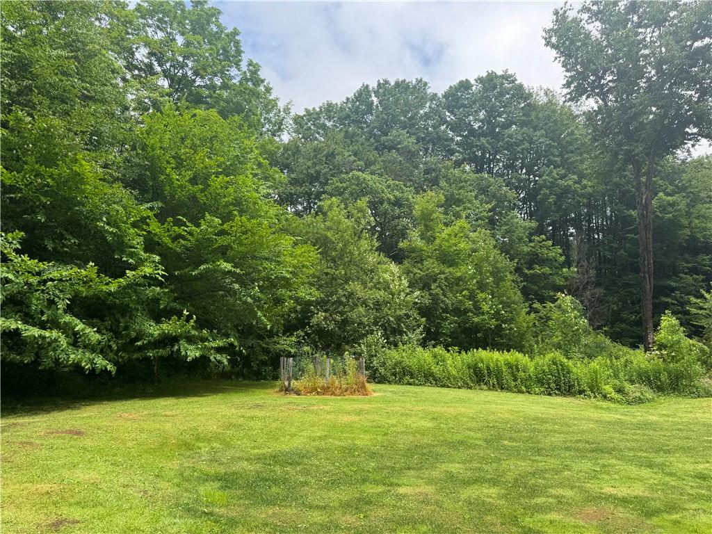 1554 Greenville Road Salisbury, PA 15558 - Photo 8 of 40