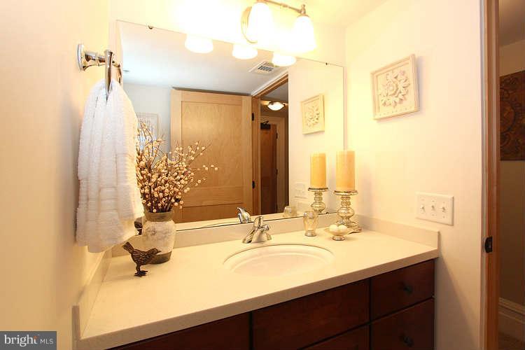 2829 Sacks Street, Unit SA101 Silver Spring, MD 20910 - Photo 22 of 30 Lower Level Bath with tub/shower