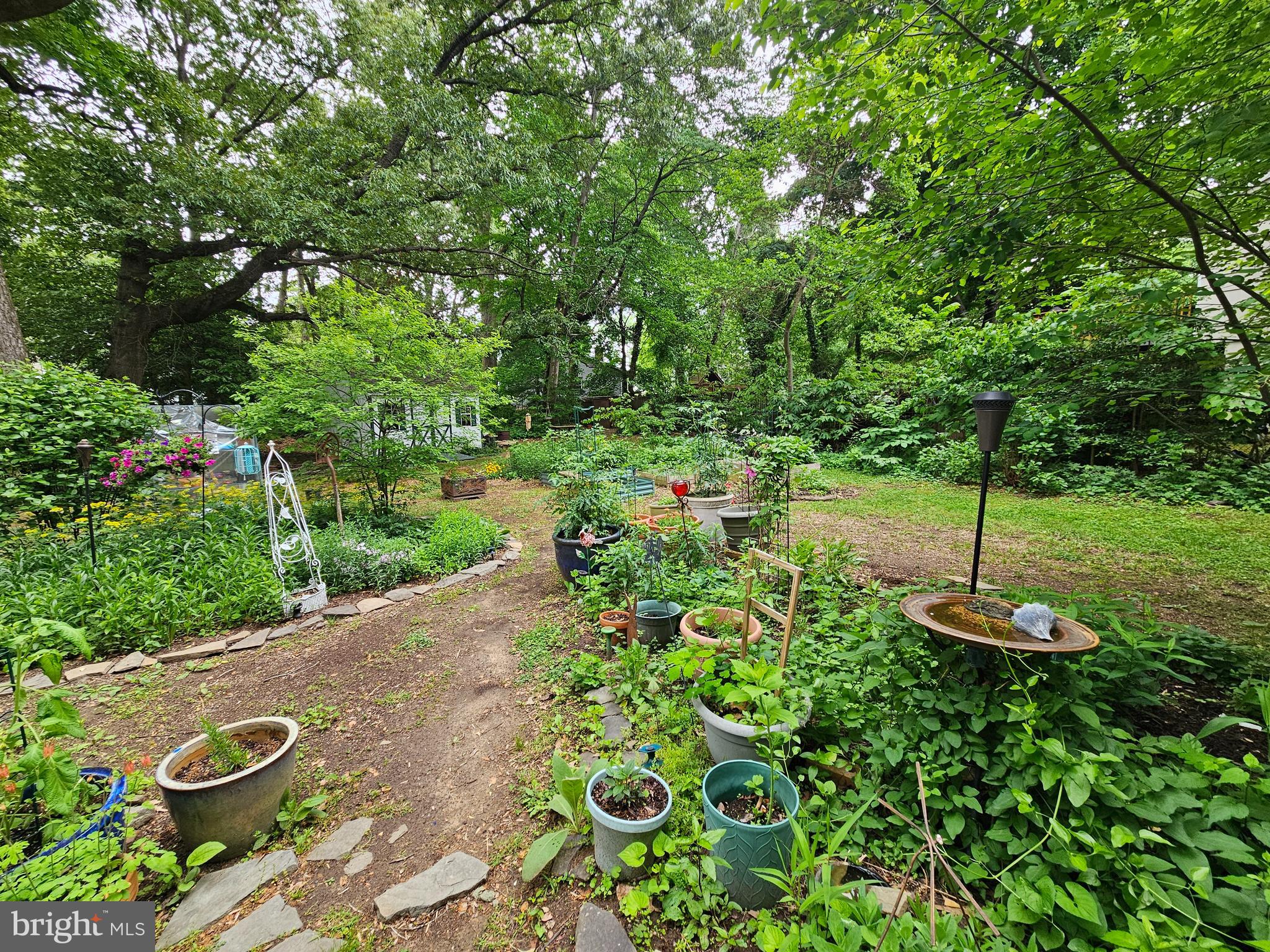 919 Blue Ridge Drive Annapolis, MD 21409 - Photo 3 of 30 a view of a backyard with potted plants