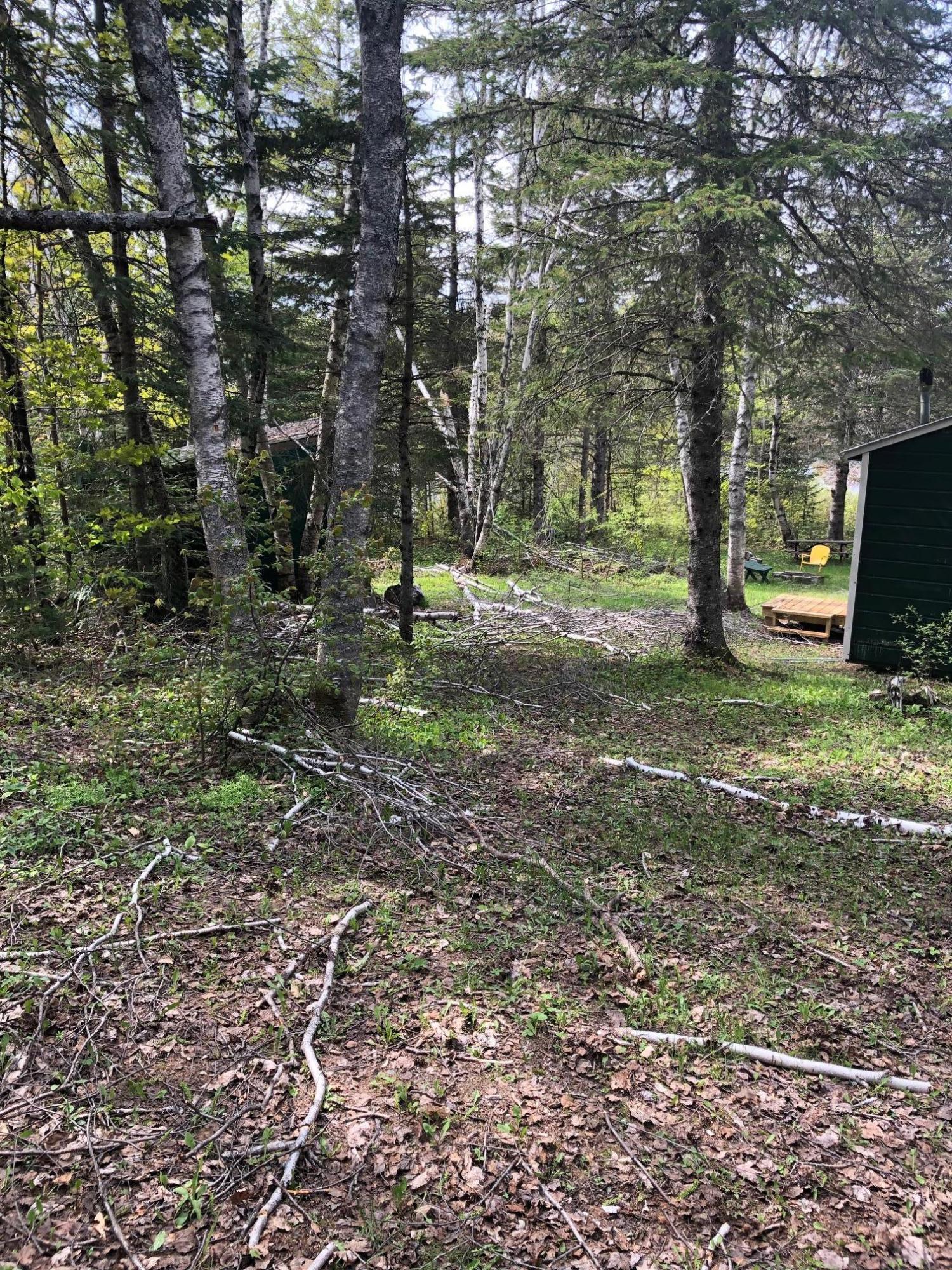 7 East Russell Pond Road South Houlton, ME 04730 - Photo 21 of 28 View from Backyard of Cottage I (Hunt Ru