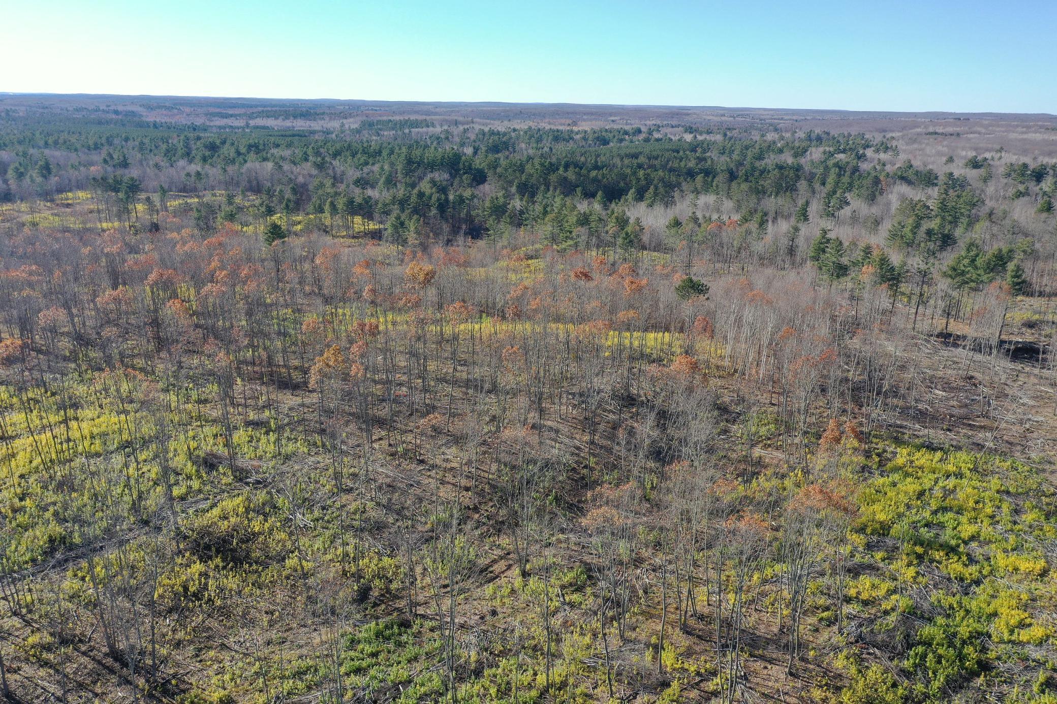 Tbd North Larsen Road Hayward, WI 54843 - Photo 13 of 36