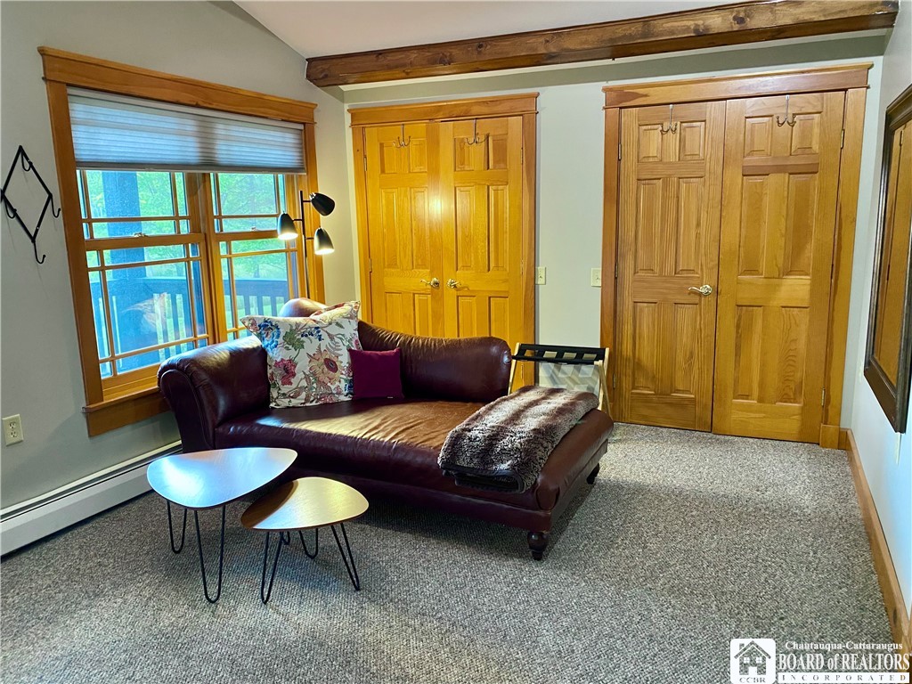 6753 Poverty Hill Road Ellicottville, NY 14731 - Photo 39 of 49