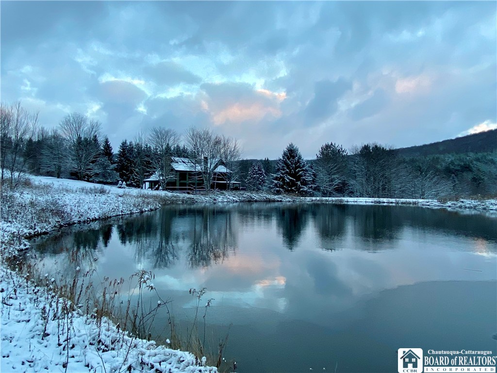 6753 Poverty Hill Road Ellicottville, NY 14731 - Photo 48 of 49