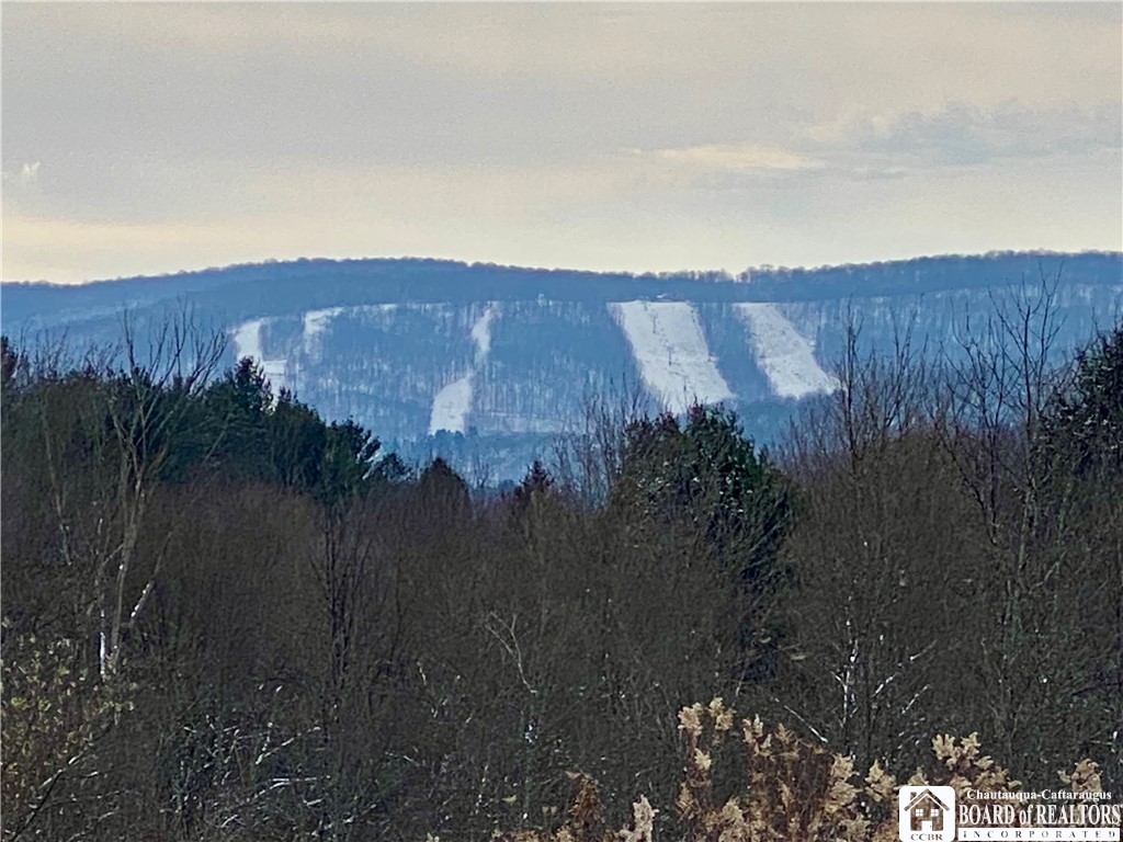 6753 Poverty Hill Road Ellicottville, NY 14731 - Photo 49 of 49