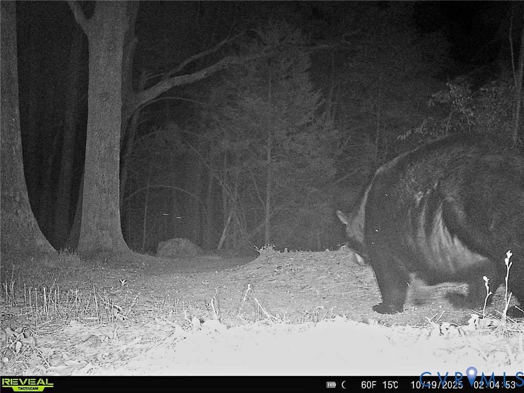 1192 West Store Road Halifax, VA 24558 - Photo 46 of 53