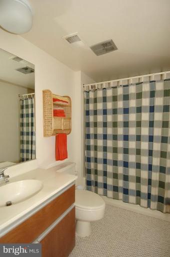 7301 Hooking Road McLean, VA 22101 - Photo 28 of 30 Full bath on lower level