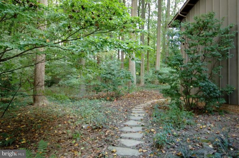 Side walkway beckons