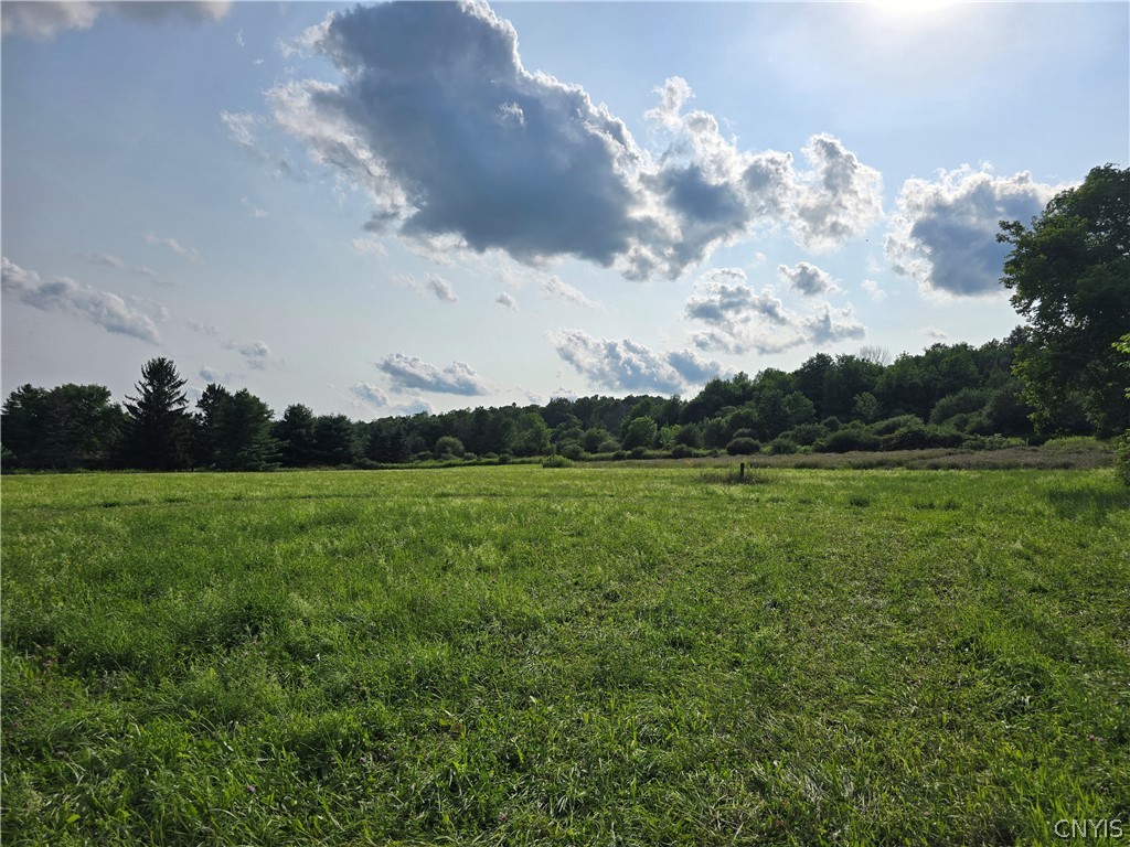 Berry Road La Fayette, NY 13084 - Photo 4 of 9 Gallery Image 4