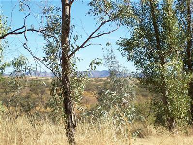 36751 South Arivaca Ranch Road Arivaca, AZ 85601 - Photo 4 of 4