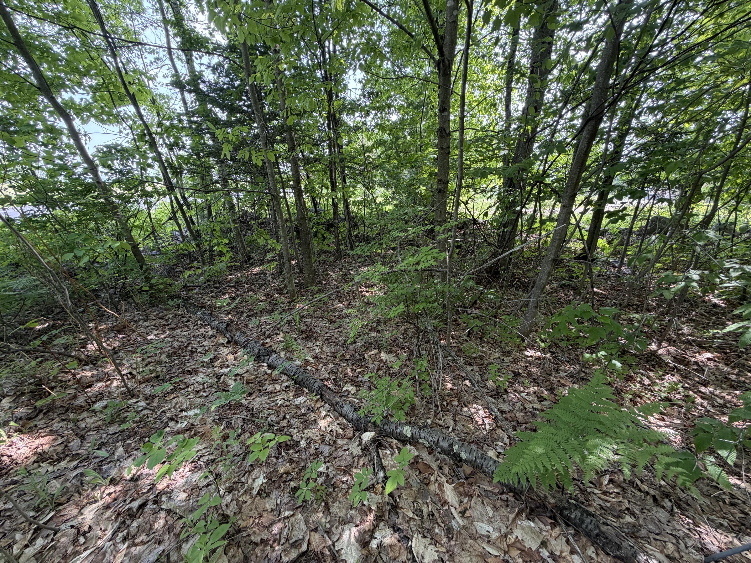 444 Campground Road North Anson, ME 04958 - Photo 3 of 16