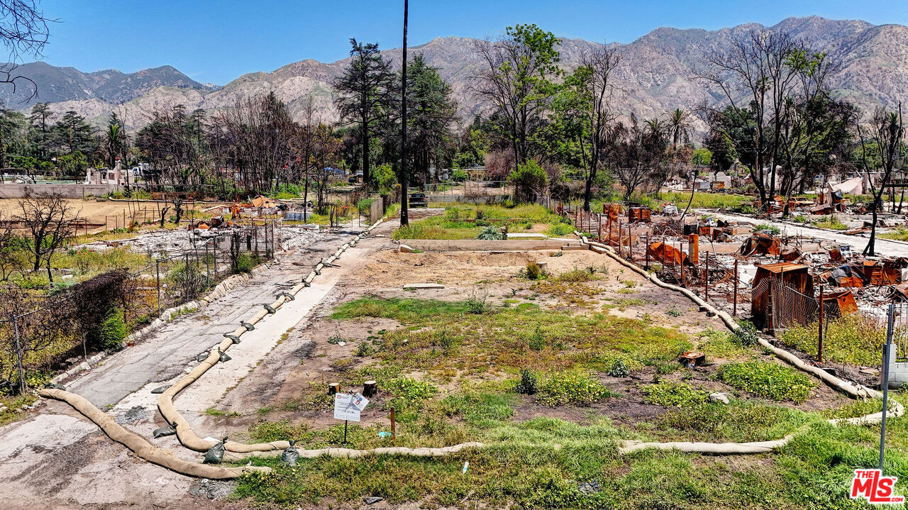 691 East Pine Street Altadena, CA 91001 - Photo 11 of 16 a view of a park with large trees