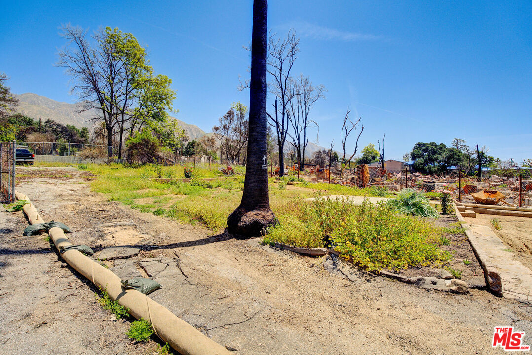 691 East Pine Street Altadena, CA 91001 - Photo 13 of 16 a view of a yard with wooden fence