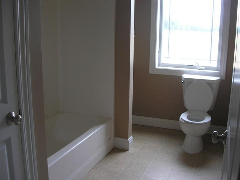 19620 Thompson Lane Three Rivers, MI 49093 - Photo 5 of 11 Additional Photo