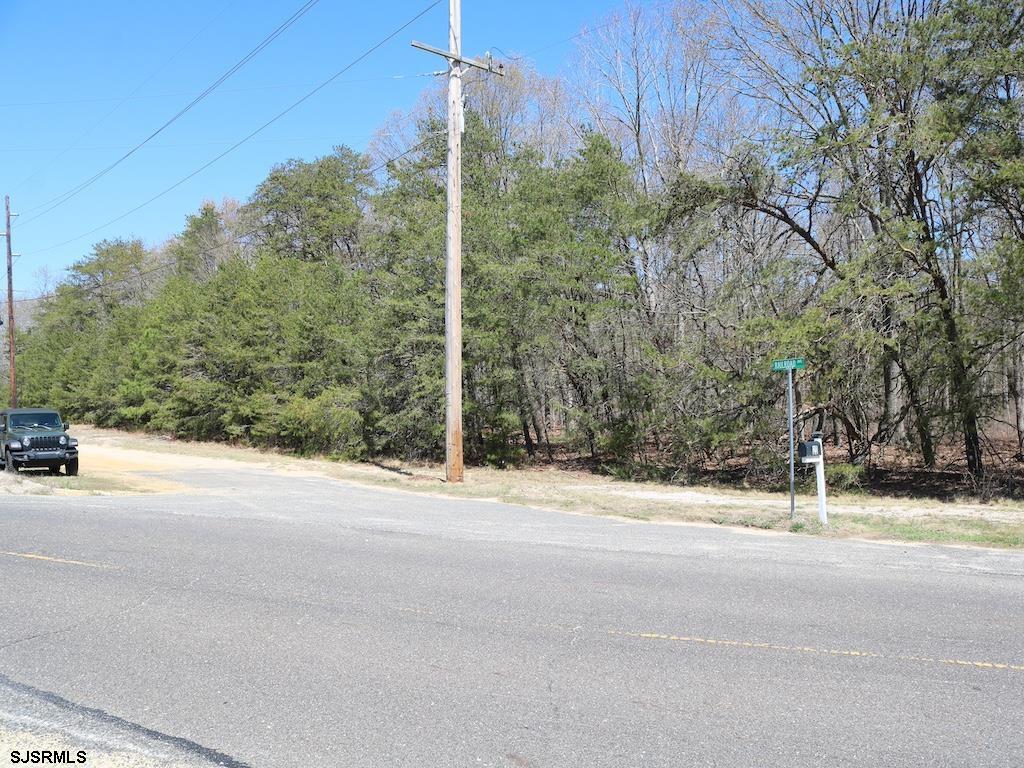 351 Shaws Mill Road Newport, NJ 08345 - Photo 37 of 84