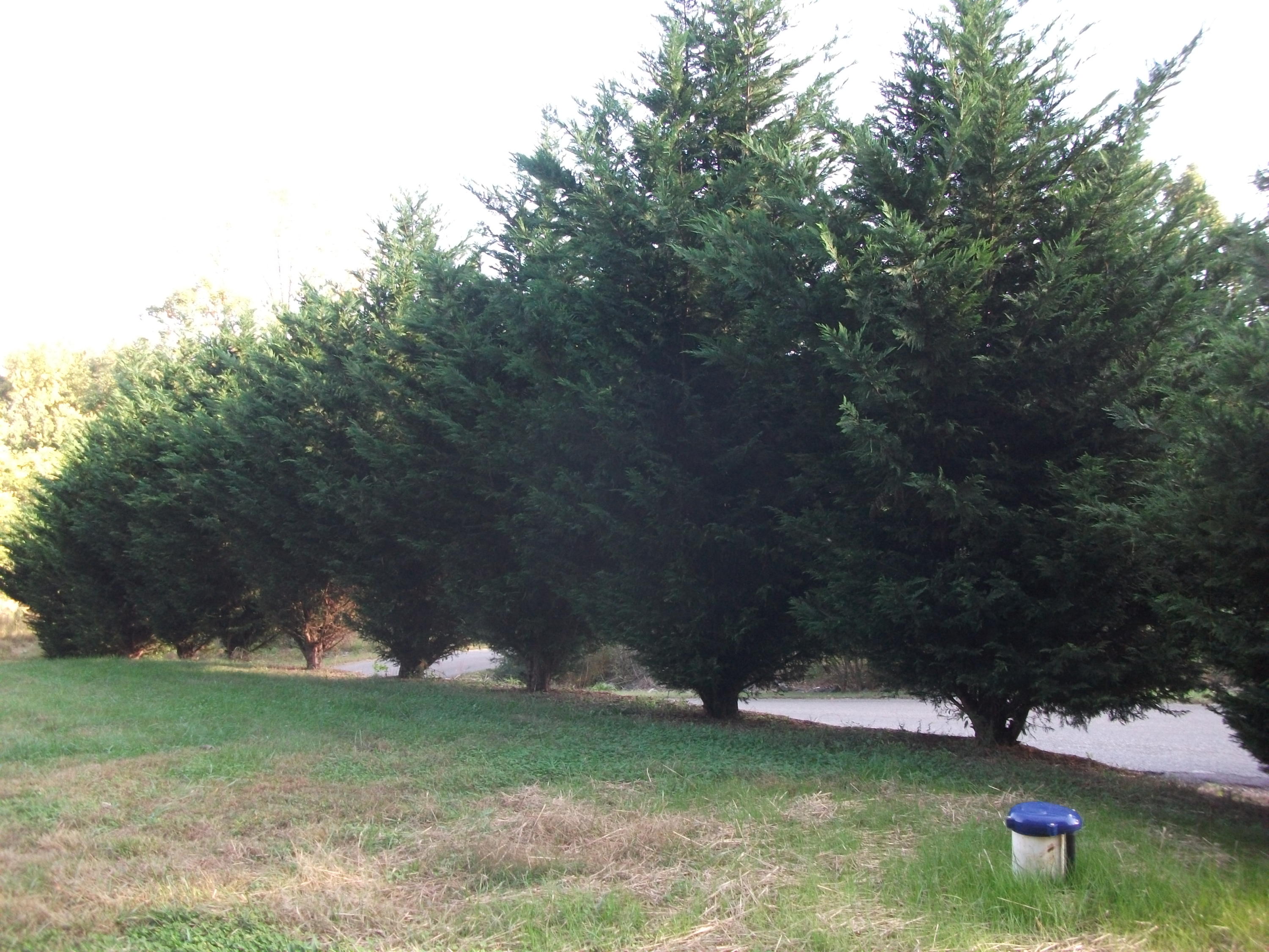 78 Cooks Knob Road Ferrum, VA 24088 - Photo 20 of 24 21 Property