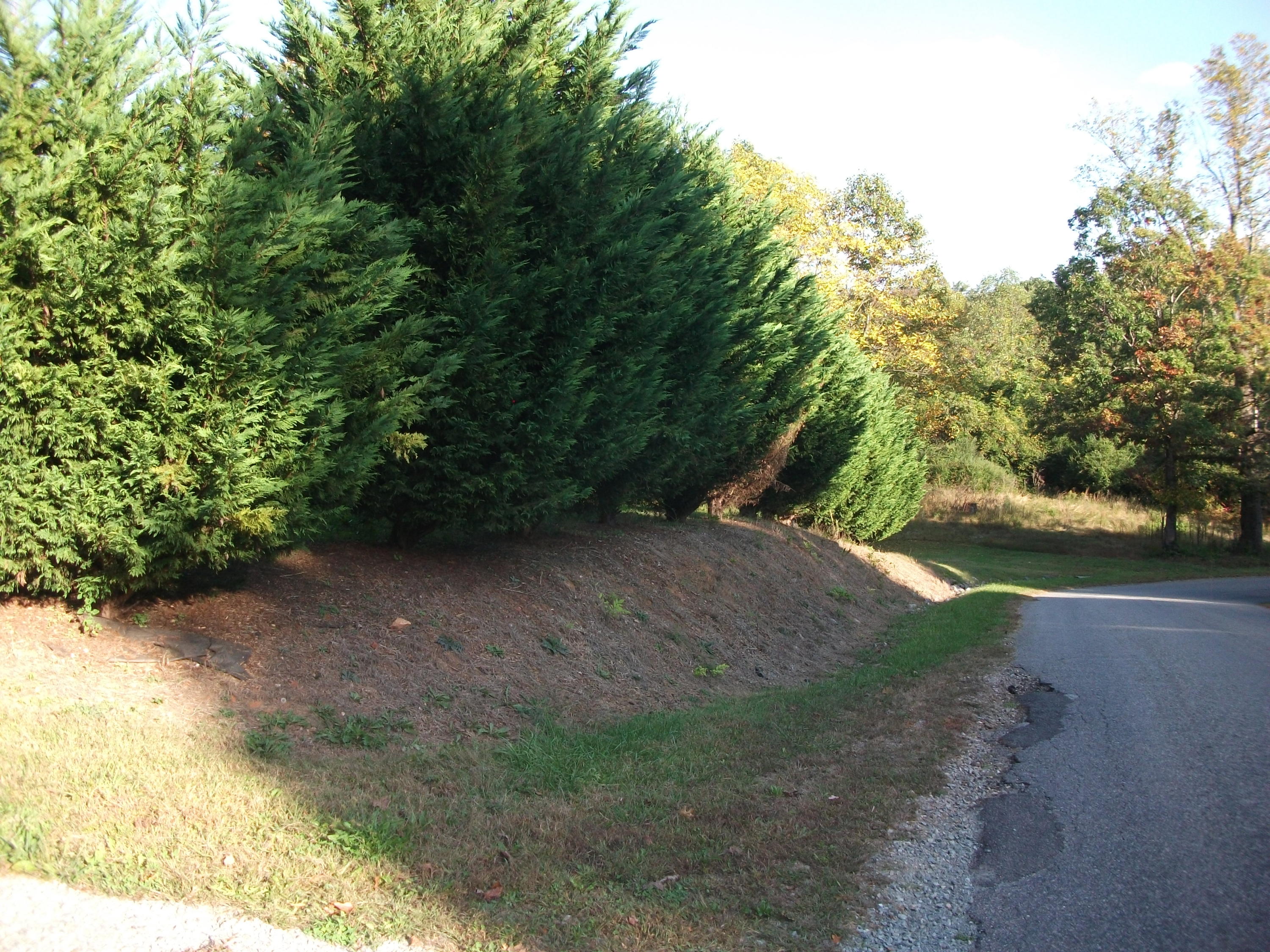 78 Cooks Knob Road Ferrum, VA 24088 - Photo 23 of 24 24 Property