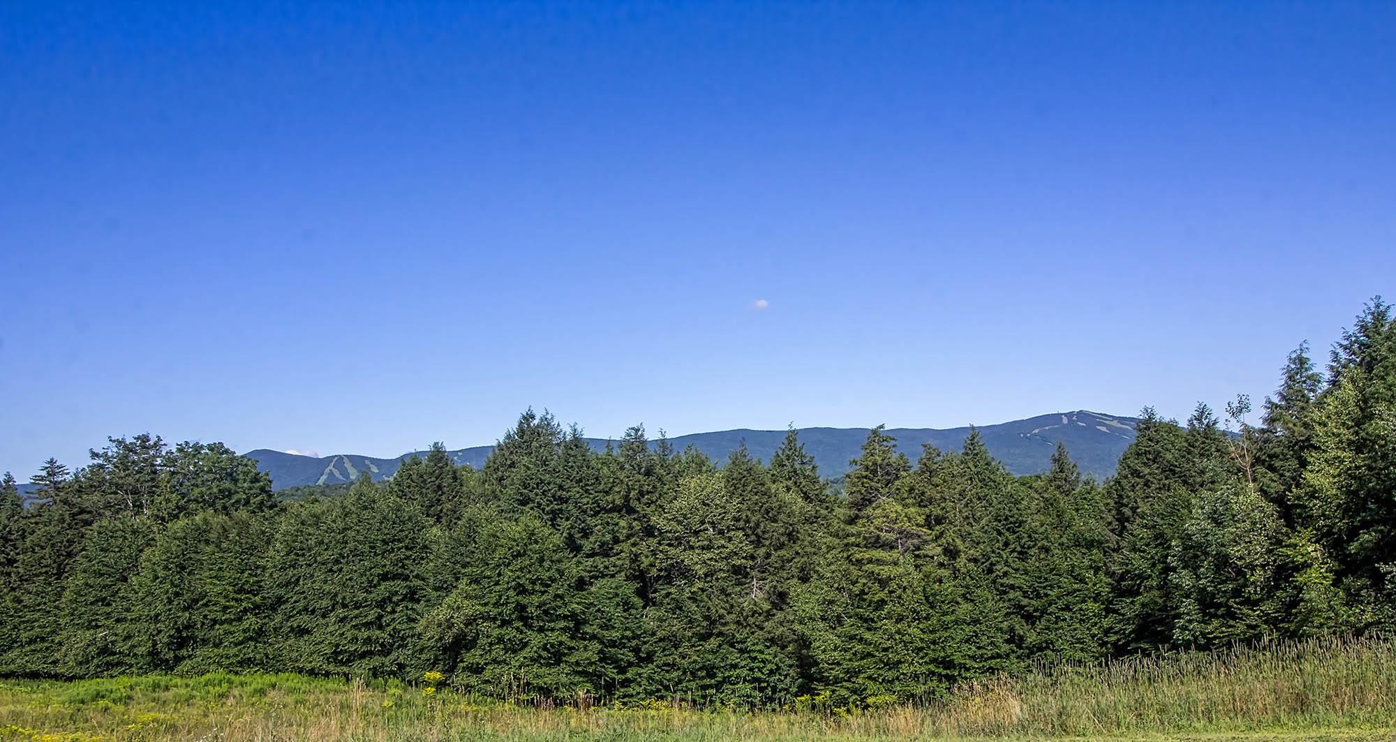 Negus Road, Unit NR005 West Dover, VT 05356 - Photo 1 of 3