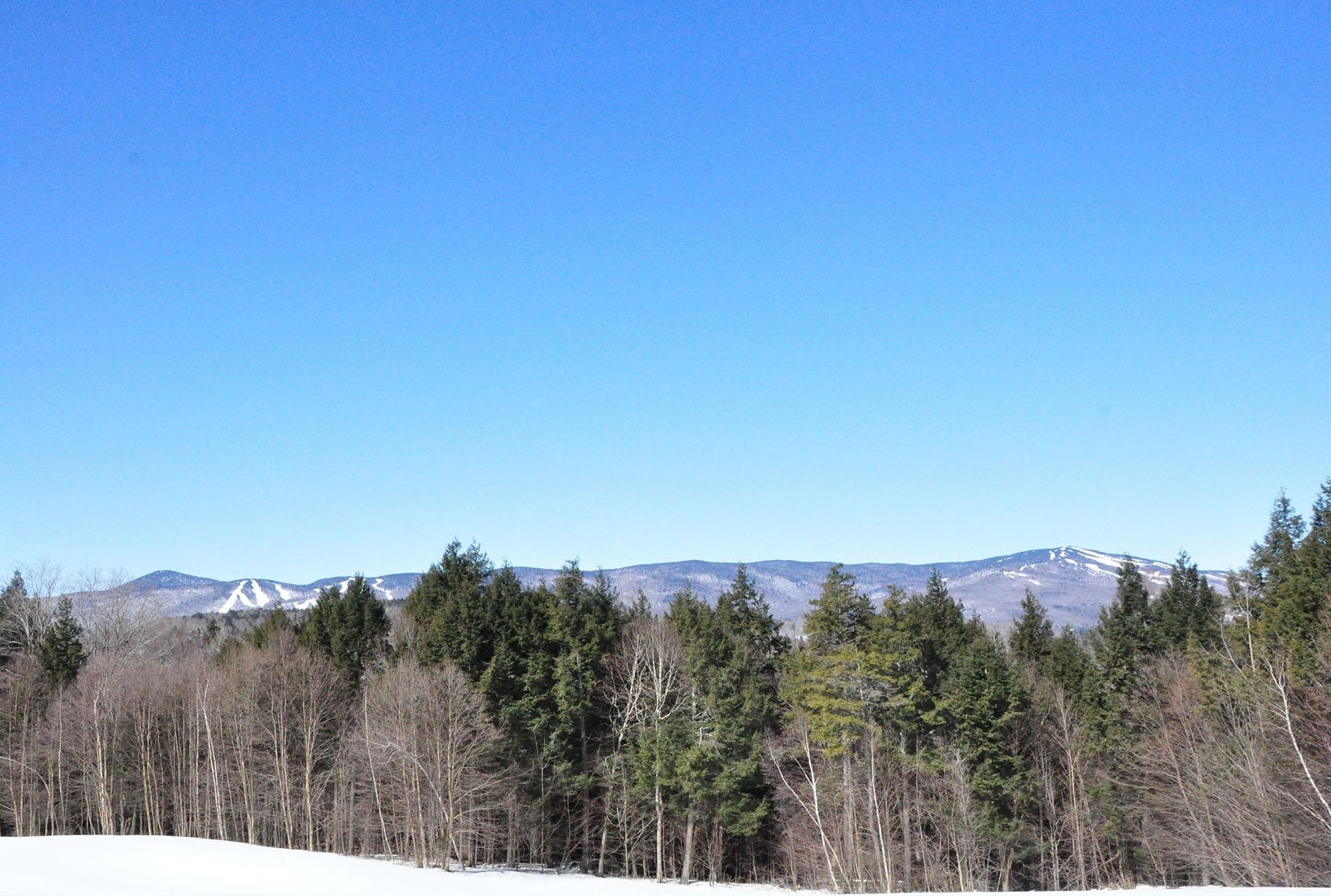 Negus Road, Unit NR005 West Dover, VT 05356 - Photo 2 of 3