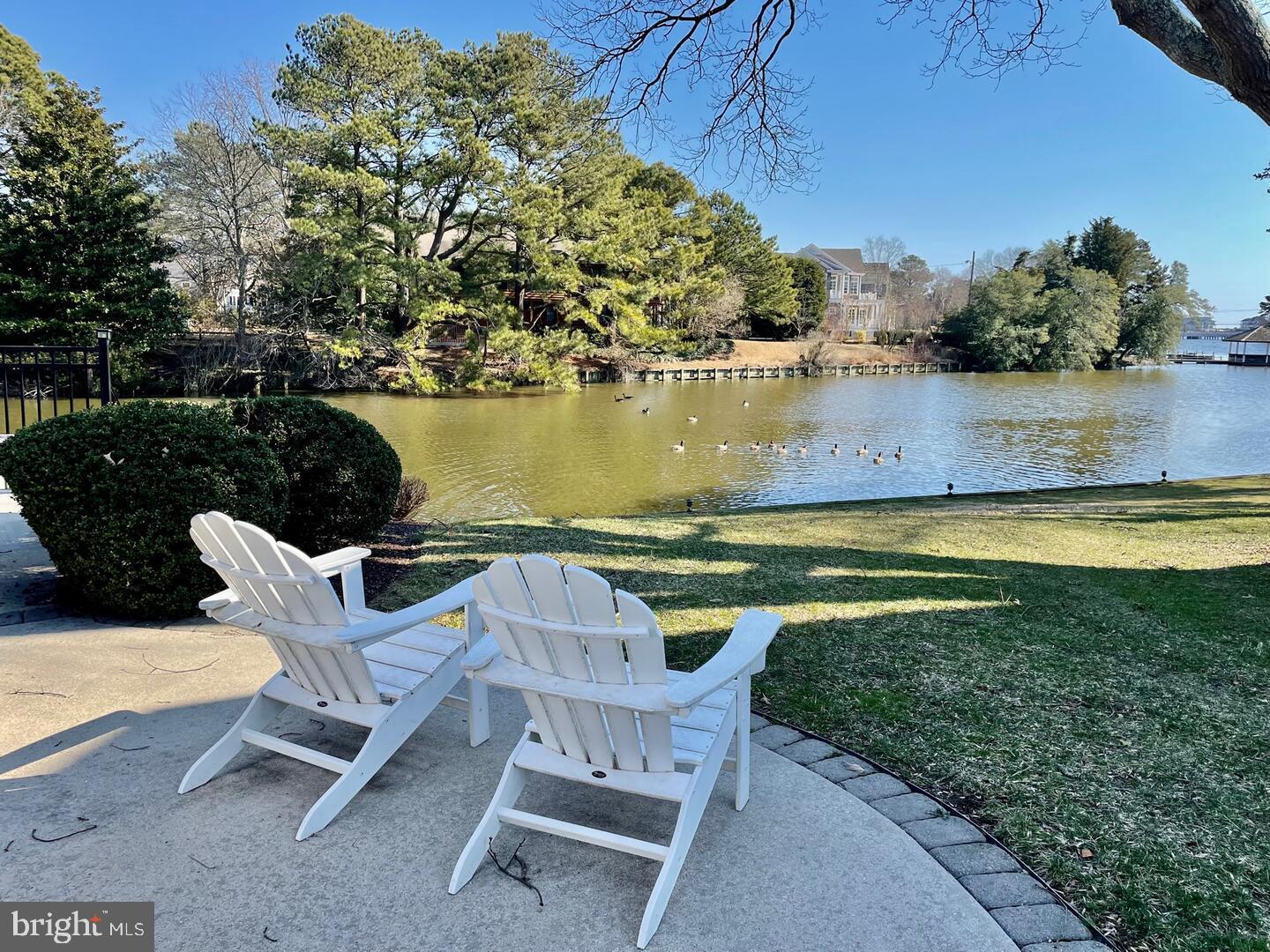 11 Newbold Square, Unit 11 Rehoboth Beach, DE 19971 - Photo 15 of 21 a view of a lake with a bench and trees around