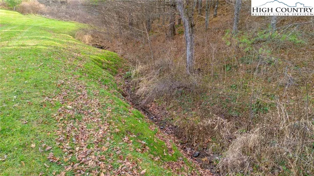 a view of a yard with plants and brick wall