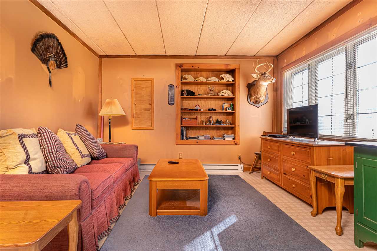 236 Piper Hill Road Center Harbor, NH 03226 - Photo 32 of 40 Gallery Image 32