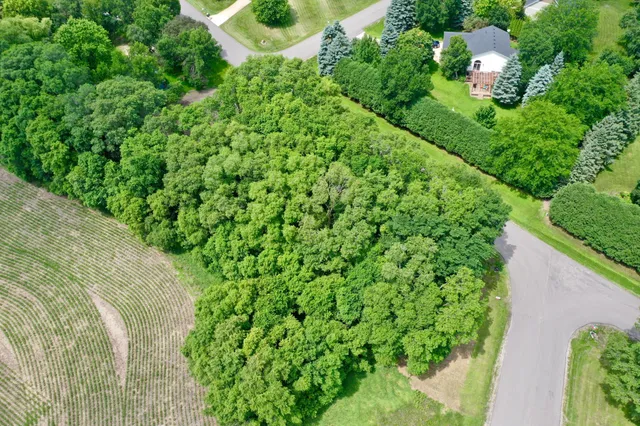 $80,000 | Tbd 161st Avenue Northeast, New London, MN 56273