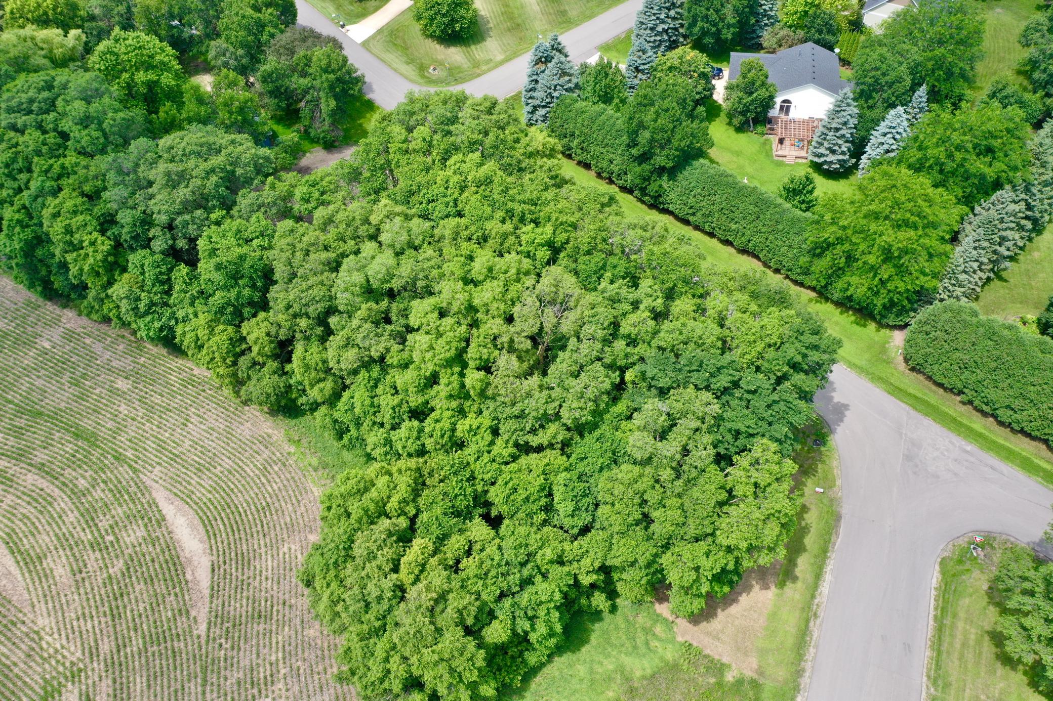 Tbd 161st Avenue Northeast Spicer, MN 56288 - Photo 5 of 9