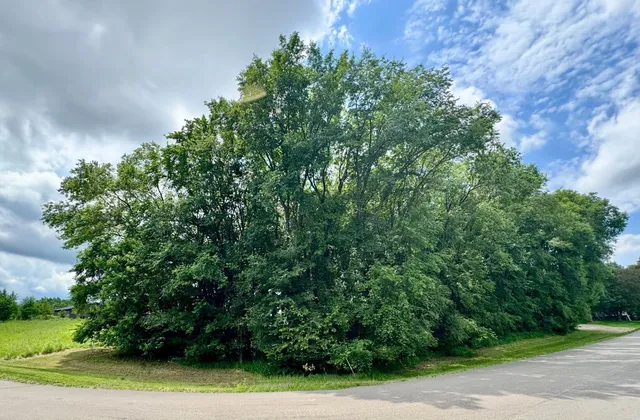 $80,000 | Tbd 161st Avenue Northeast, New London, MN 56273