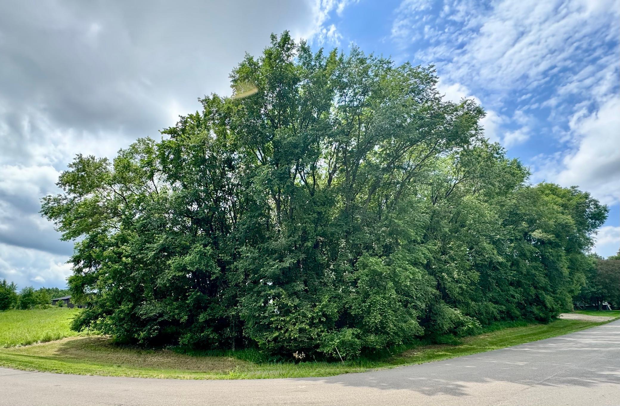 Tbd 161st Avenue Northeast Spicer, MN 56288 - Photo 9 of 9