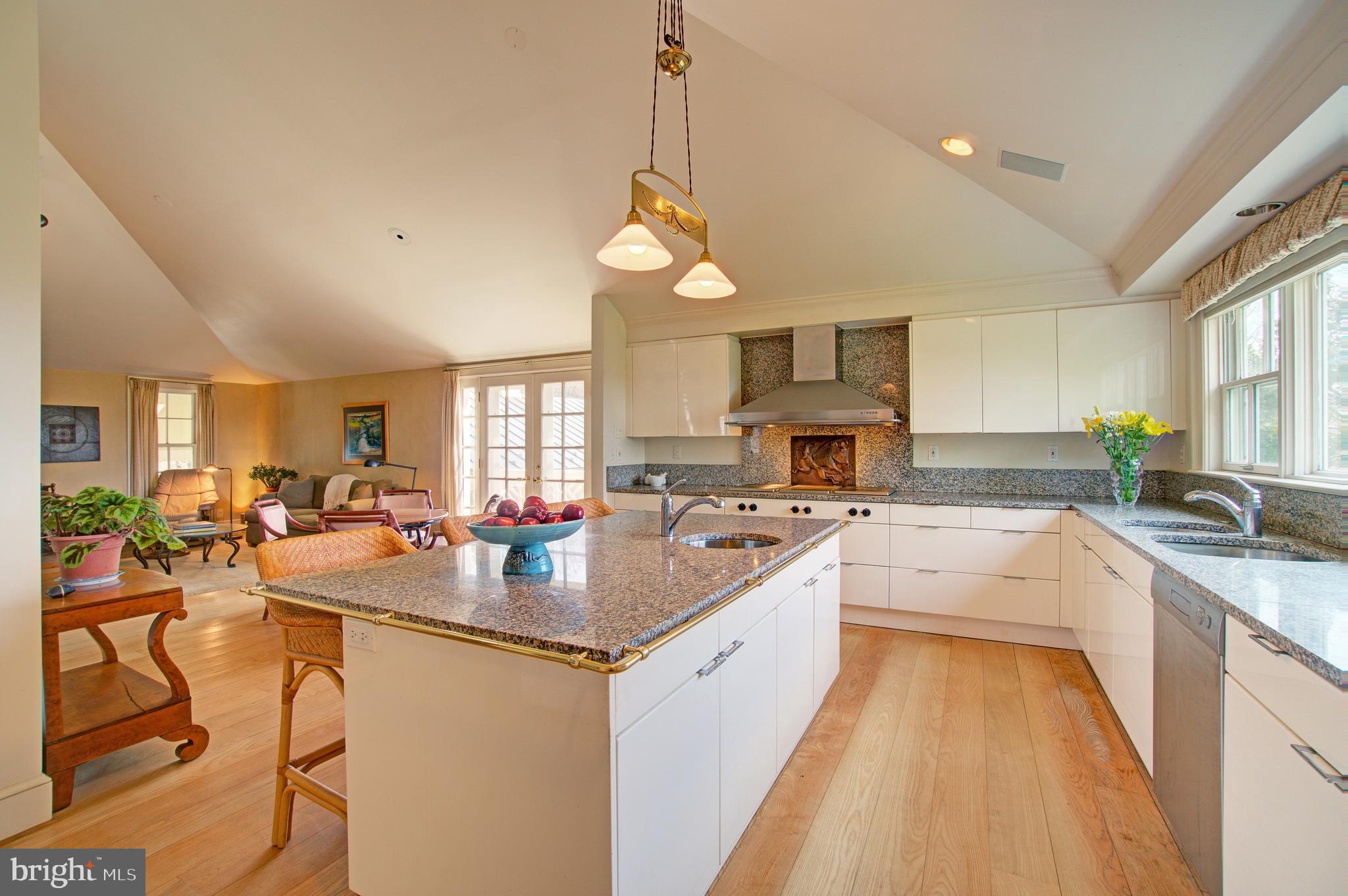 8638 Meadows Road Warrenton, VA 20186 - Photo 22 of 66 Huge granite island w/ 2nd sink