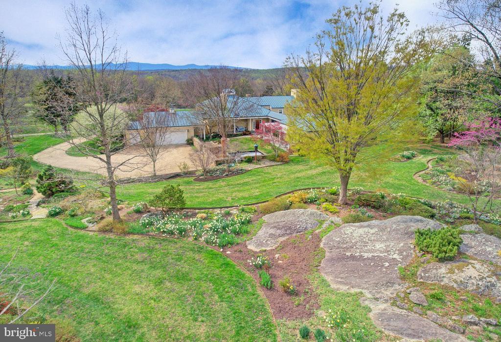 8638 Meadows Road Warrenton, VA 20186 - Photo 50 of 66 Mature gardens