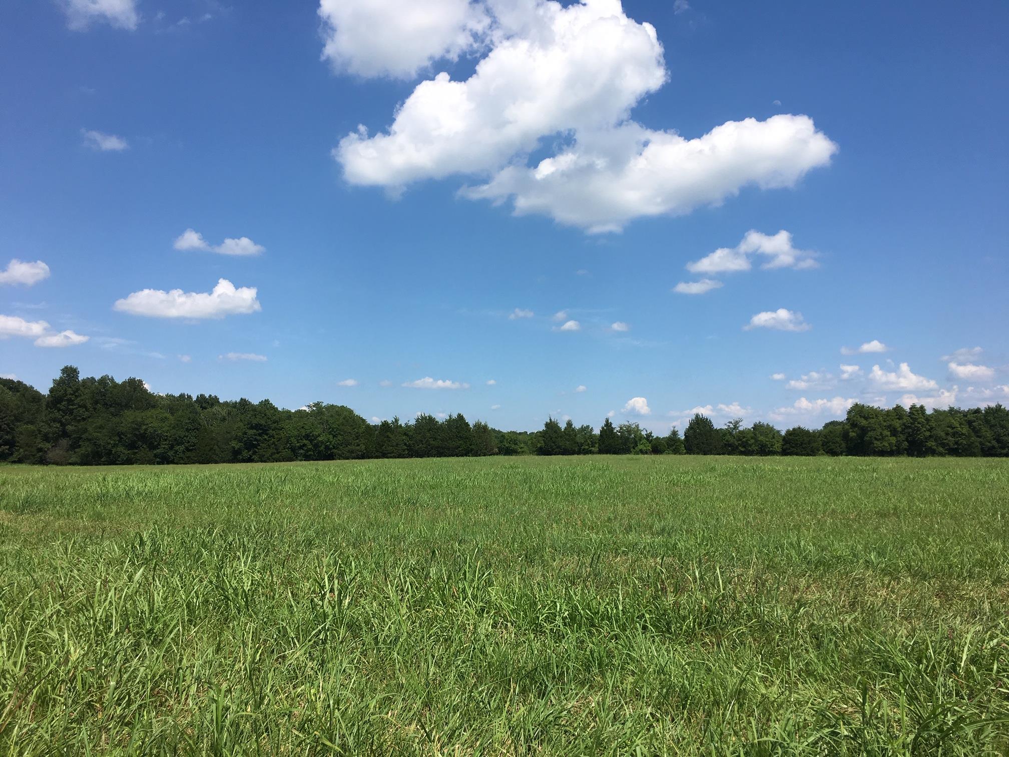 9 Lunns Store Road Chapel Hill, TN 37034 - Photo 1 of 1 Gallery Image 1
