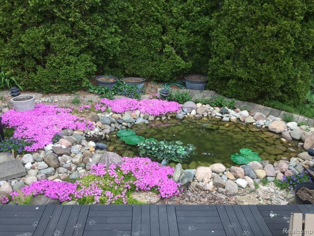 42 Foxboro Drive Rochester, MI 48309 - Photo 9 of 32 Backyard Koi pond