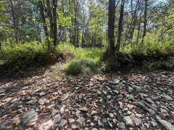 $720,000 | 0 Stipps Hill Road, Laurel, IN 47024