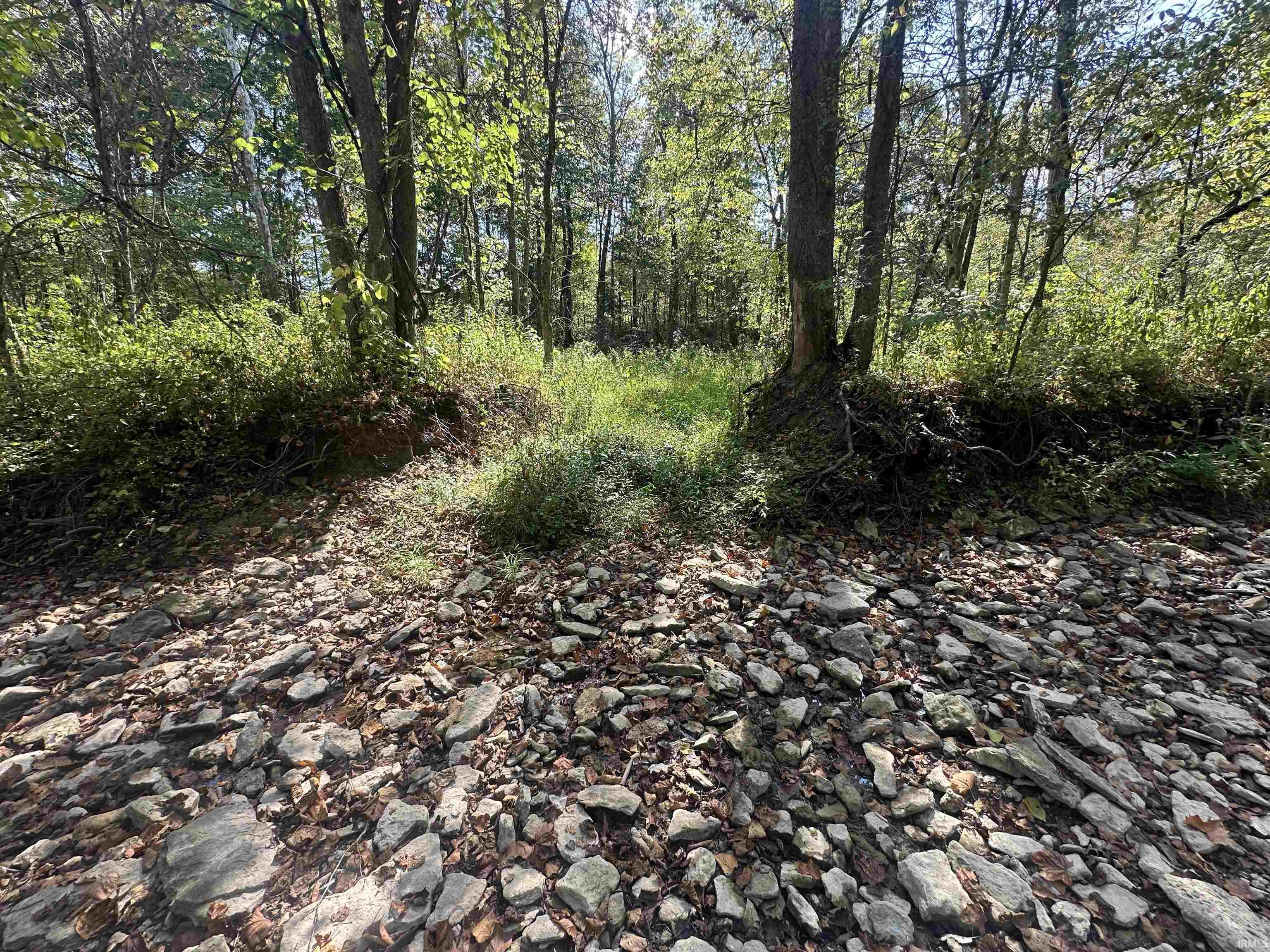 0 Stipps Hill Road Laurel, IN 47024 - Photo 11 of 35