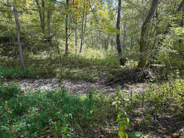 $720,000 | 0 Stipps Hill Road, Laurel, IN 47024