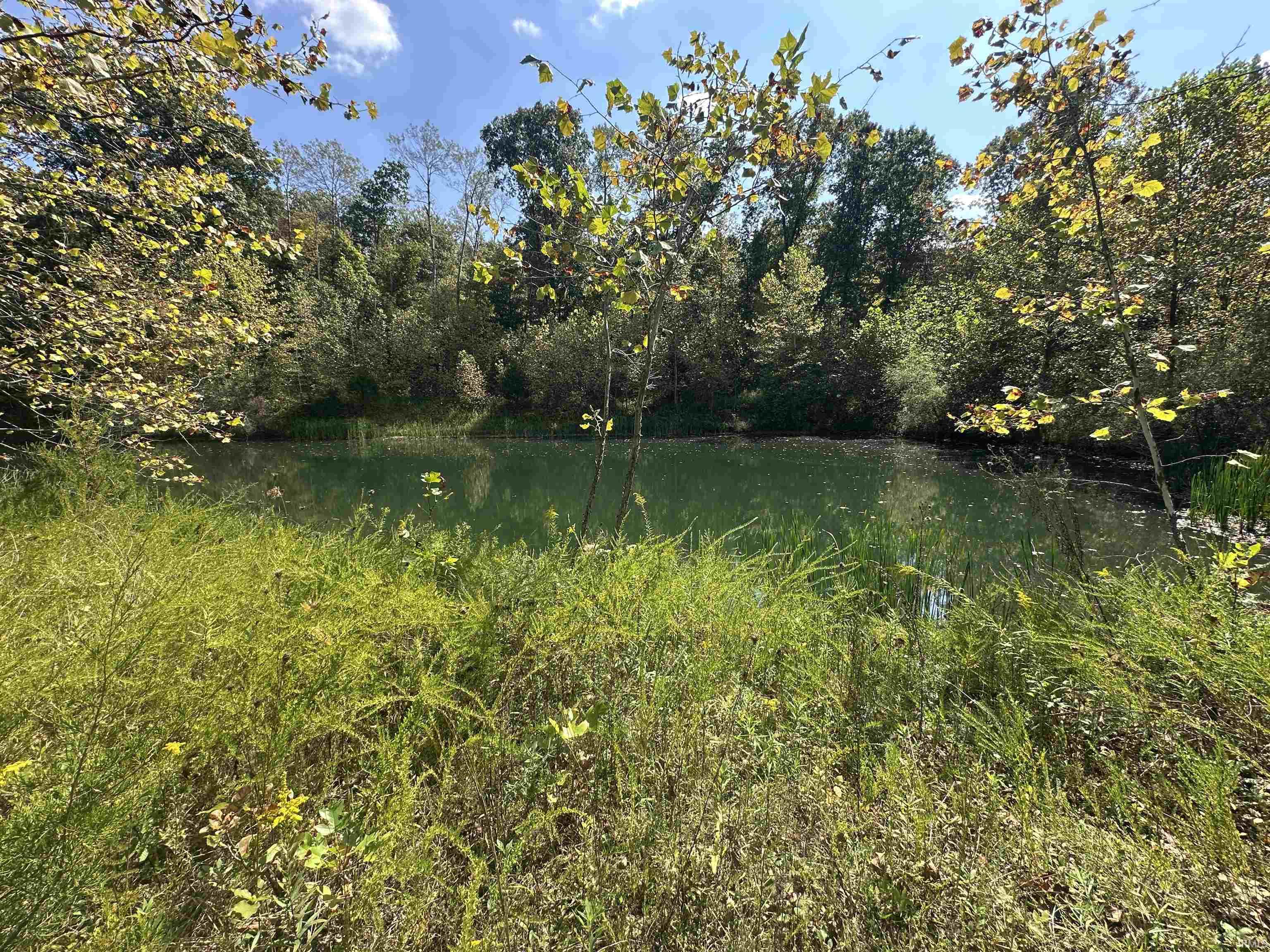 0 Stipps Hill Road Laurel, IN 47024 - Photo 13 of 35