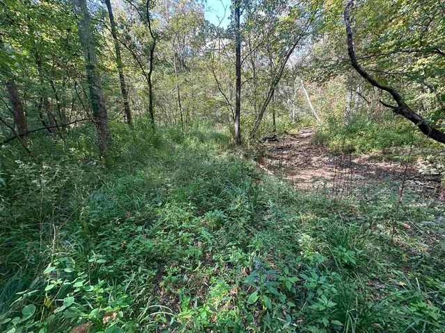 $720,000 | 0 Stipps Hill Road, Laurel, IN 47024