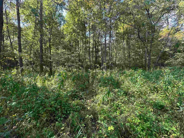 $720,000 | 0 Stipps Hill Road, Laurel, IN 47024