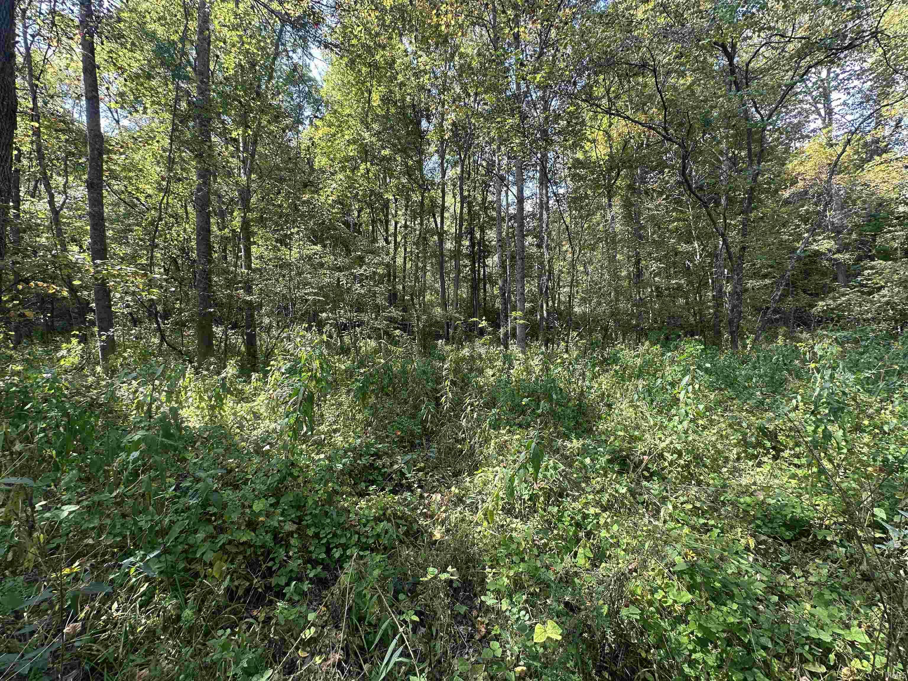 0 Stipps Hill Road Laurel, IN 47024 - Photo 17 of 35