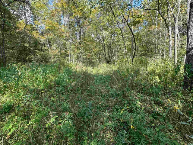 $720,000 | 0 Stipps Hill Road, Laurel, IN 47024