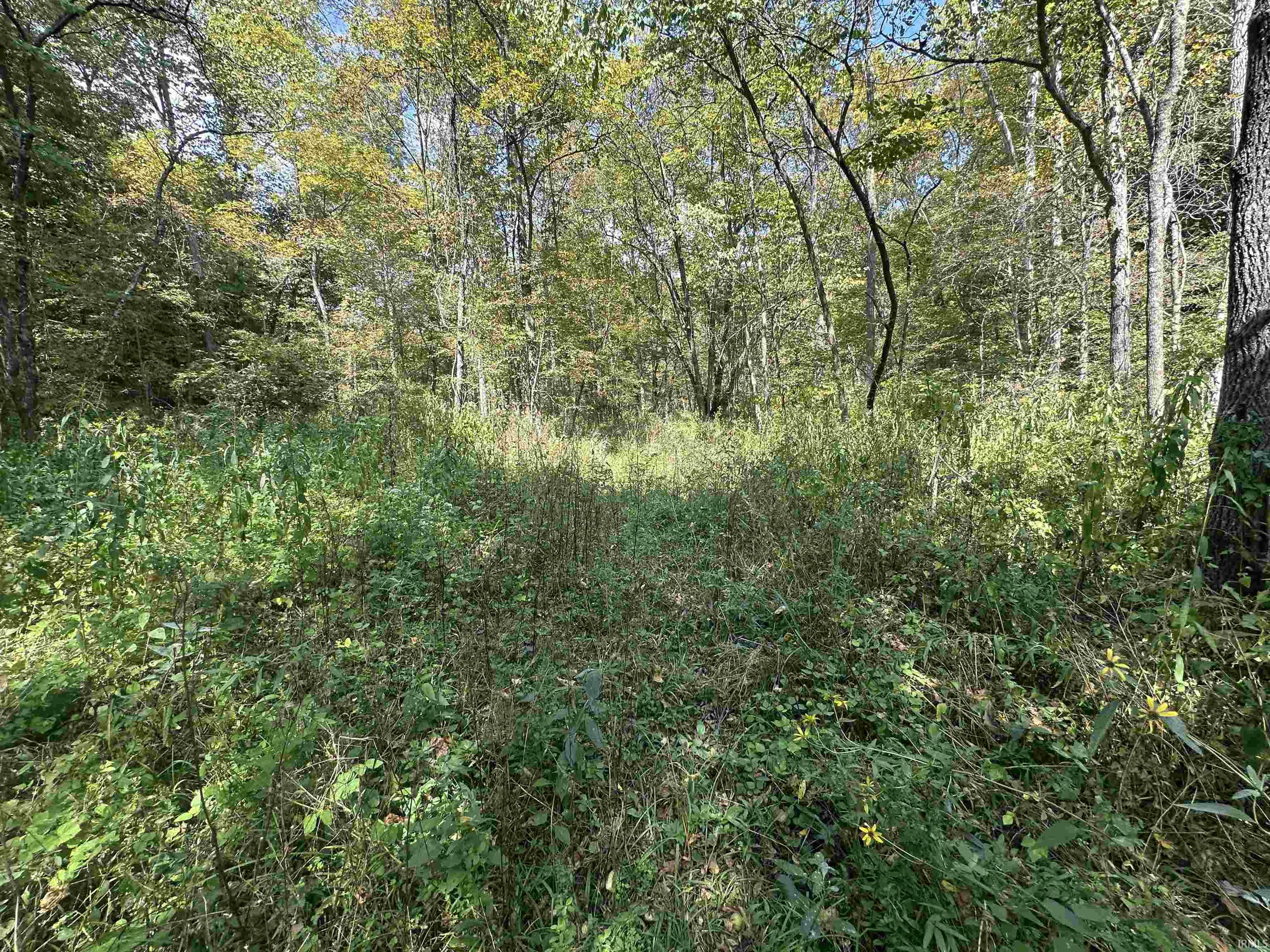 0 Stipps Hill Road Laurel, IN 47024 - Photo 18 of 35