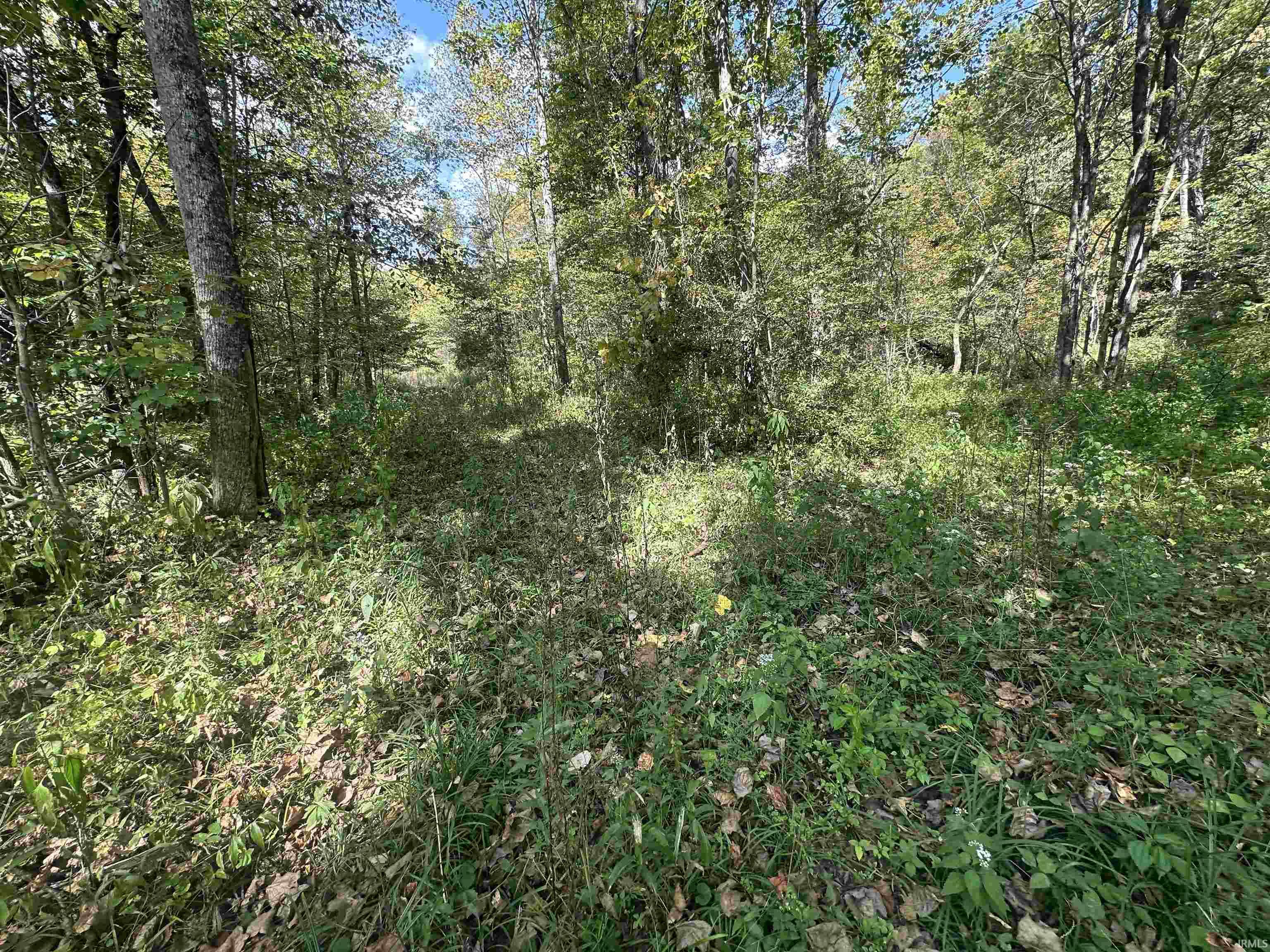 0 Stipps Hill Road Laurel, IN 47024 - Photo 19 of 35