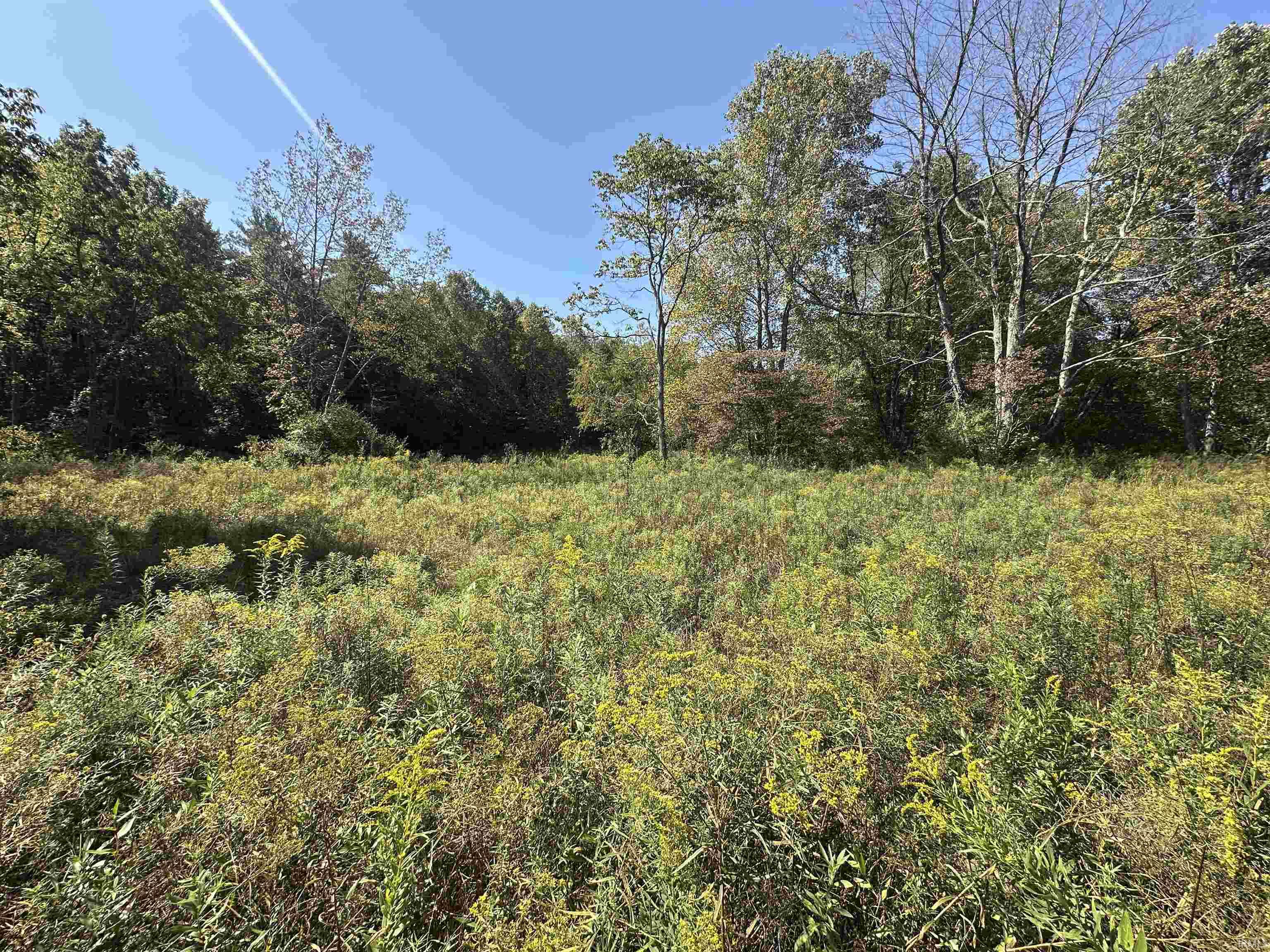 0 Stipps Hill Road Laurel, IN 47024 - Photo 2 of 35