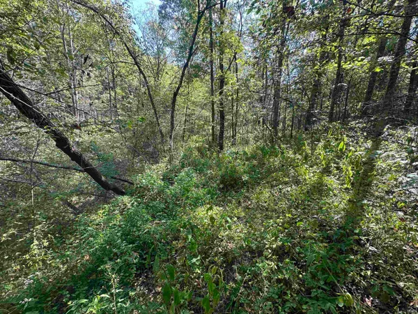 $720,000 | 0 Stipps Hill Road, Laurel, IN 47024