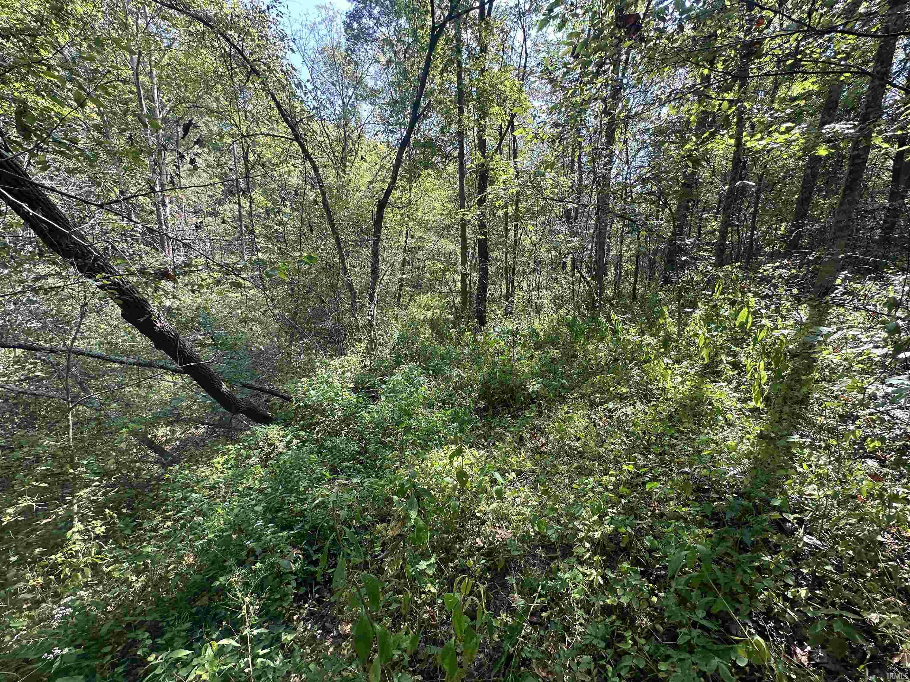 0 Stipps Hill Road Laurel, IN 47024 - Photo 21 of 35