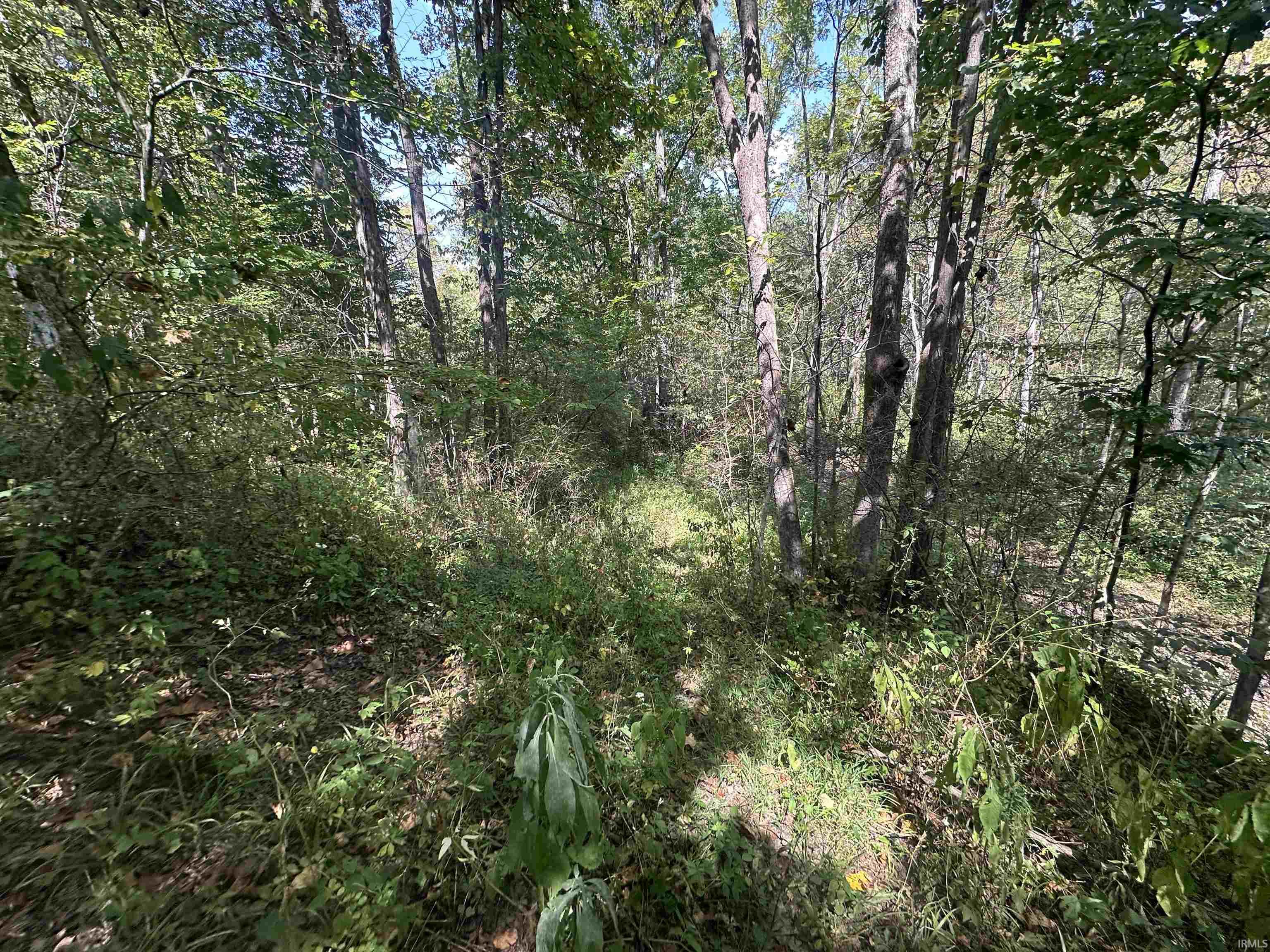 0 Stipps Hill Road Laurel, IN 47024 - Photo 22 of 35