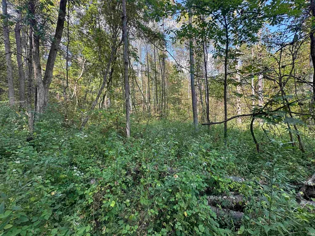 $720,000 | 0 Stipps Hill Road, Laurel, IN 47024