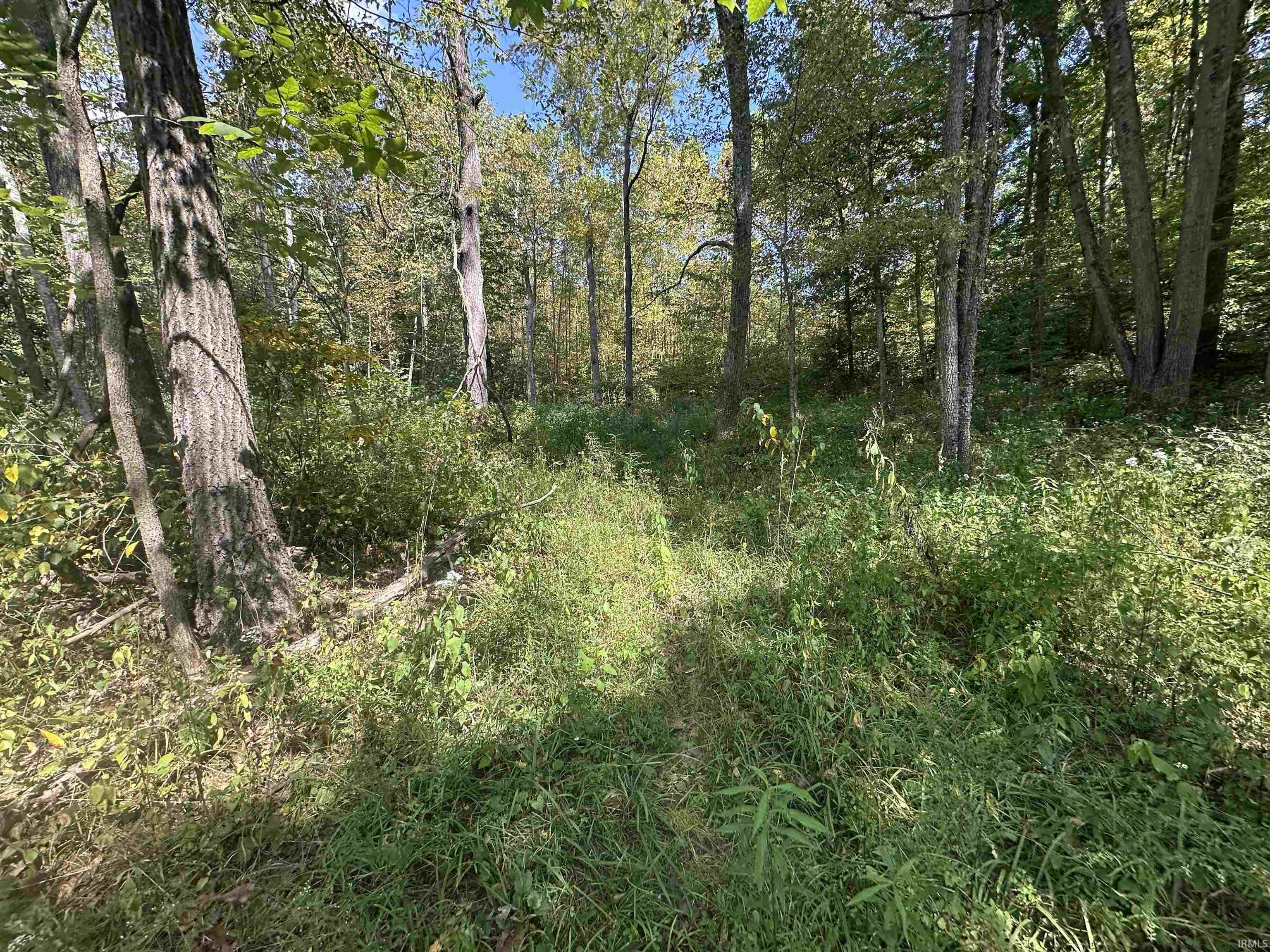 0 Stipps Hill Road Laurel, IN 47024 - Photo 24 of 35